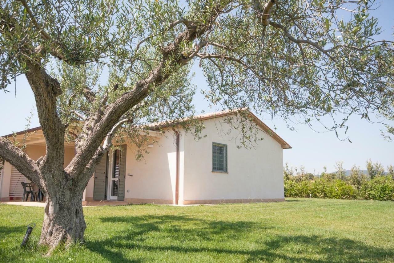 Agriturismo Il Mirto بيشا رومانا المظهر الخارجي الصورة
