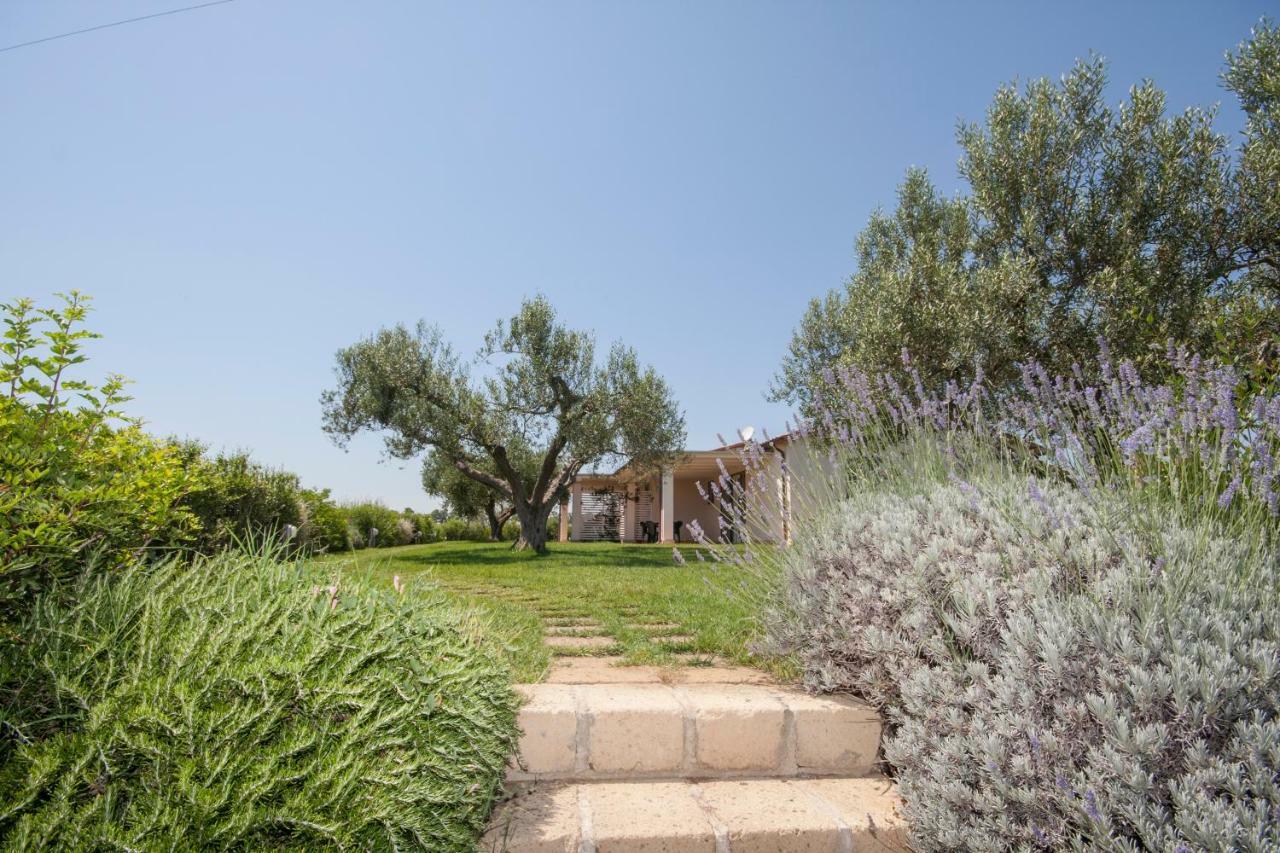 Agriturismo Il Mirto بيشا رومانا المظهر الخارجي الصورة